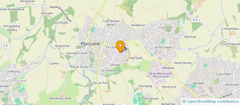 localisation de l'entreprise MONSIEUR FRANCIS MARC  PLOUZANE