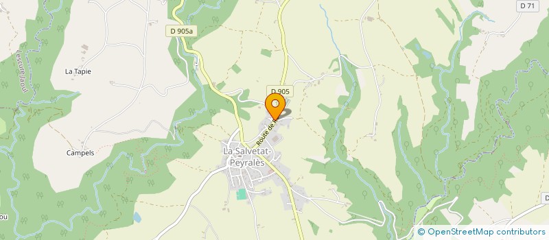 localisation de l'entreprise MONSIEUR FRANCIS MARTY  LA SALVETAT-PEYRALES