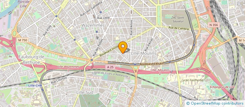 localisation de l'entreprise MONSIEUR FRANCIS MOKHTAR à LILLE
