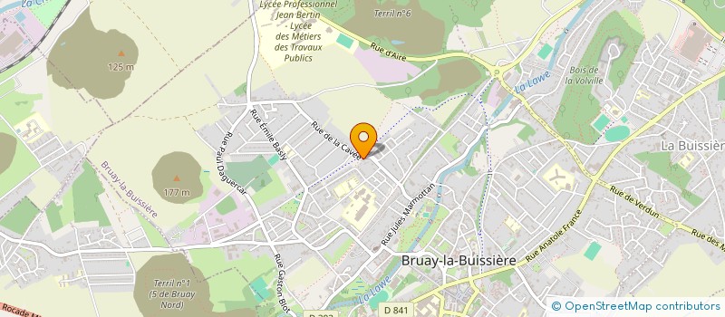 localisation de l'entreprise MONSIEUR FRANCIS PANIEZ à BRUAY-LA-BUISSIERE
