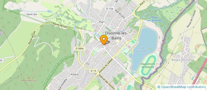 localisation de l'entreprise MONSIEUR FRANCIS SEINTURIER  DIVONNE-LES-BAINS