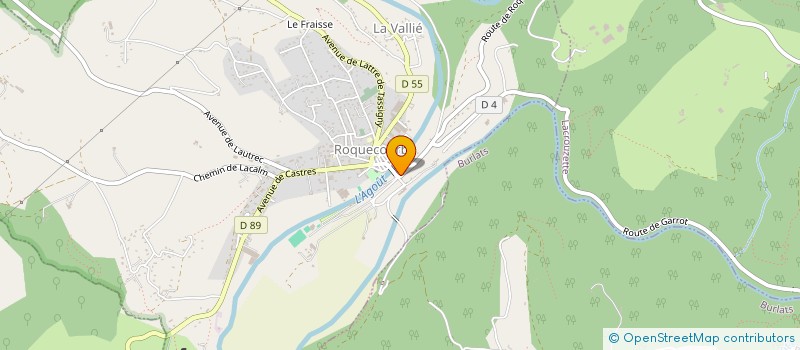 localisation de l'entreprise MONSIEUR FRANCIS VERDEIL à ROQUECOURBE