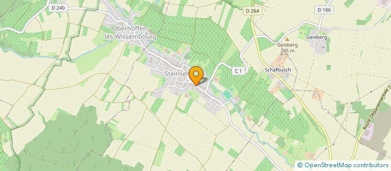 localisation de l'entreprise MONSIEUR FRANCIS VETTER  STEINSELTZ