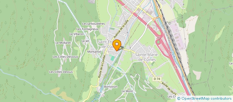 localisation de l'entreprise MONSIEUR FRANCIS VILLIOT  SAINT-ETIENNE-DE-CUINES