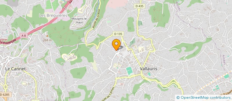 localisation de l'entreprise MONSIEUR FRANCISCO FERNANDES HENRIQUES à VALLAURIS
