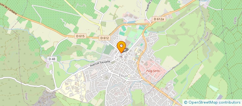 localisation de l'entreprise MONSIEUR FRANCISCO SANCHEZ  THUIR