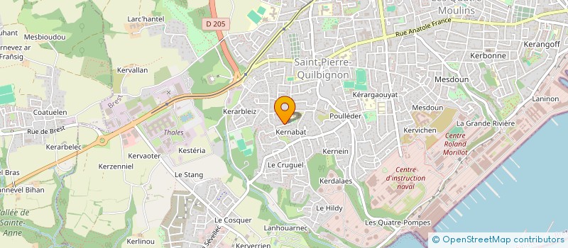 localisation de l'entreprise MONSIEUR FRANCISCO SOARES à BREST