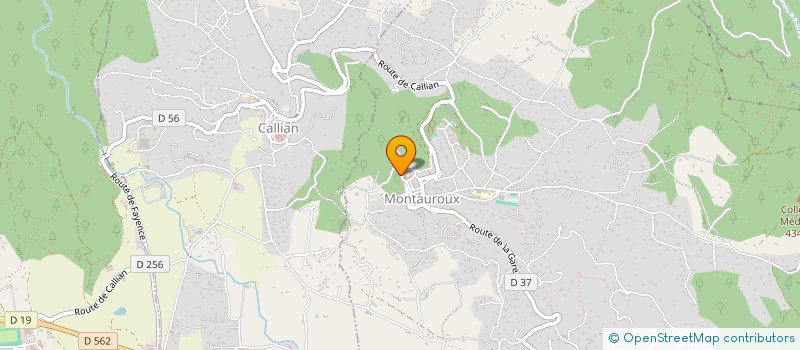 localisation de l'entreprise MONSIEUR FRANCK ALARY  MONTAUROUX