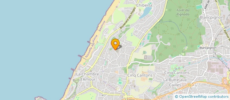 localisation de l'entreprise MONSIEUR FRANCK ARRIBE  ANGLET