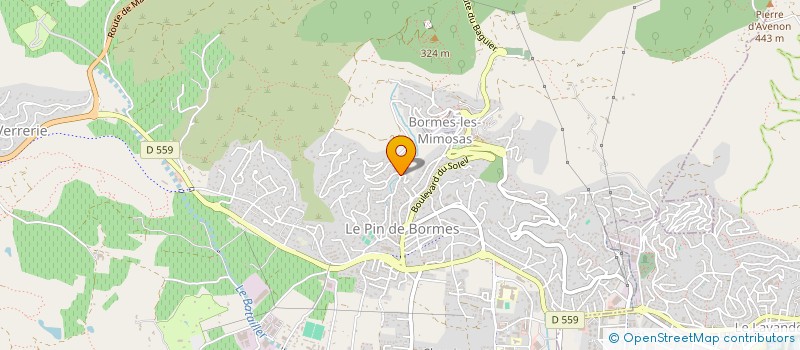 localisation de l'entreprise MONSIEUR FRANCK AUGUSTIN à BORMES-LES-MIMOSAS