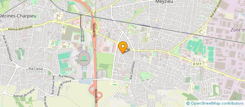 localisation de l'entreprise MONSIEUR FRANCK AURELIEN GRIFFA  MEYZIEU