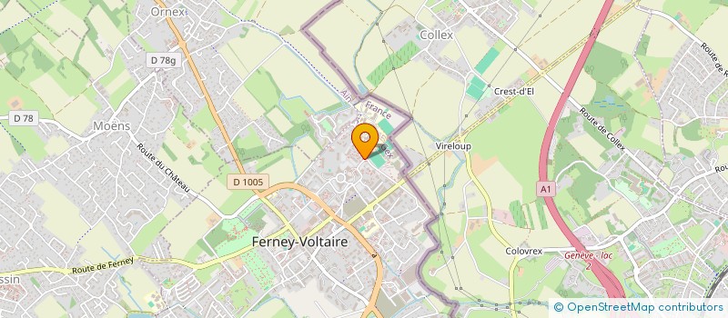 localisation de l'entreprise MONSIEUR FRANCK BALLEAUX à FERNEY-VOLTAIRE