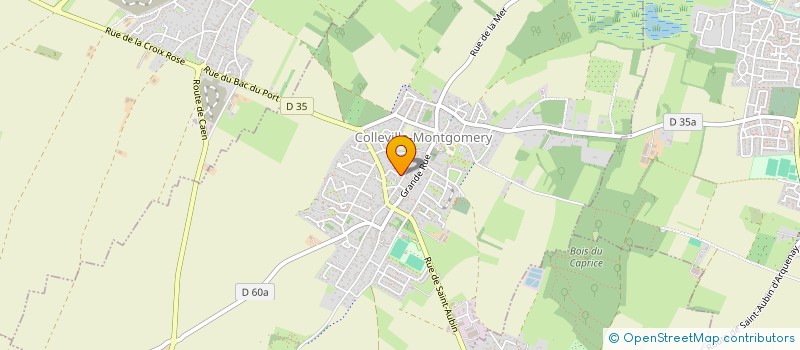 localisation de l'entreprise MONSIEUR FRANCK BOSQUET  COLLEVILLE-MONTGOMERY