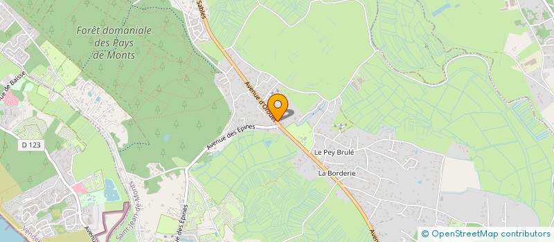 localisation de l'entreprise MONSIEUR FRANCK BURGAUD  SAINT-JEAN-DE-MONTS