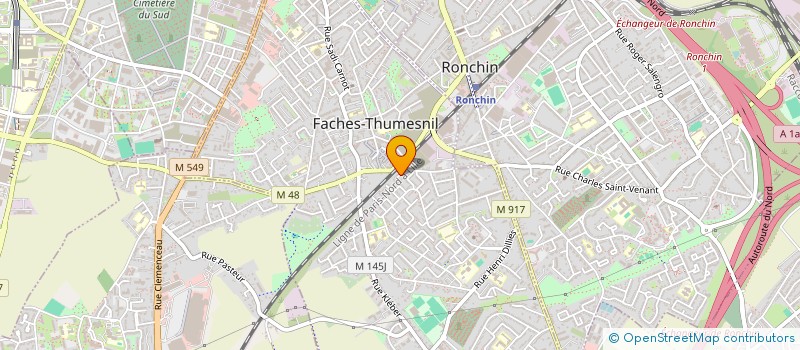 localisation de l'entreprise MONSIEUR FRANCK CALIN  FACHES-THUMESNIL