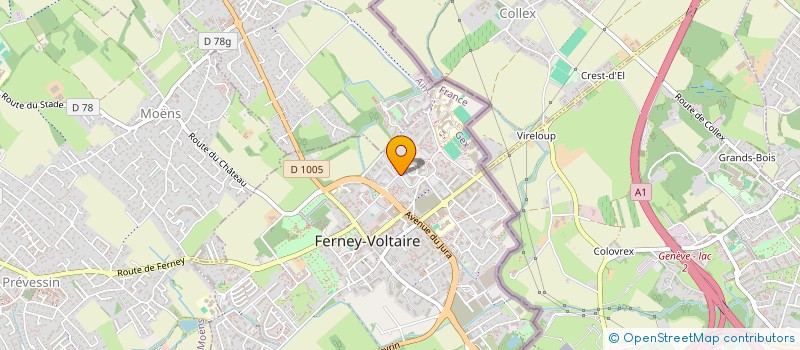 localisation de l'entreprise MONSIEUR FRANCK CHICHER à FERNEY-VOLTAIRE