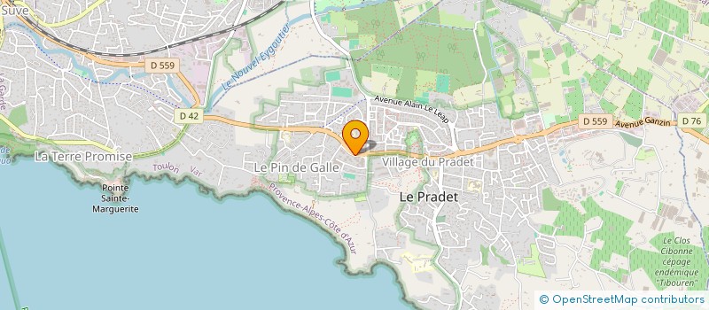 localisation de l'entreprise MONSIEUR FRANCK COTTENTIN à LE PRADET