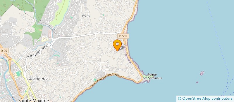 localisation de l'entreprise MONSIEUR FRANCK COUTURIER  SAINTE-MAXIME