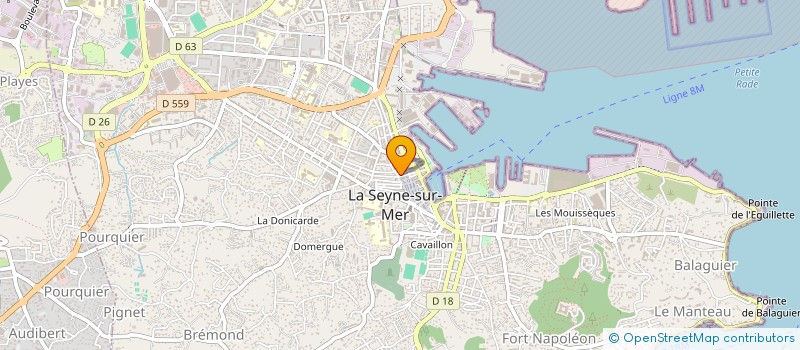 localisation de l'entreprise MONSIEUR FRANCK DUC MARTIN à LA SEYNE-SUR-MER