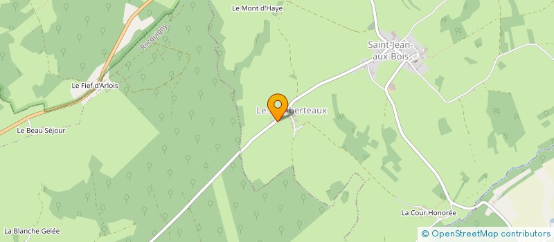 localisation de l'entreprise MONSIEUR FRANCK DUMANGE  SAINT-JEAN-AUX-BOIS