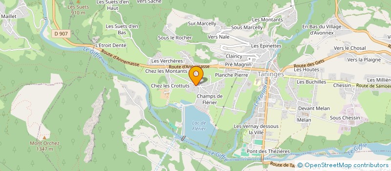 localisation de l'entreprise MONSIEUR FRANCK HENRIOUD  TANINGES