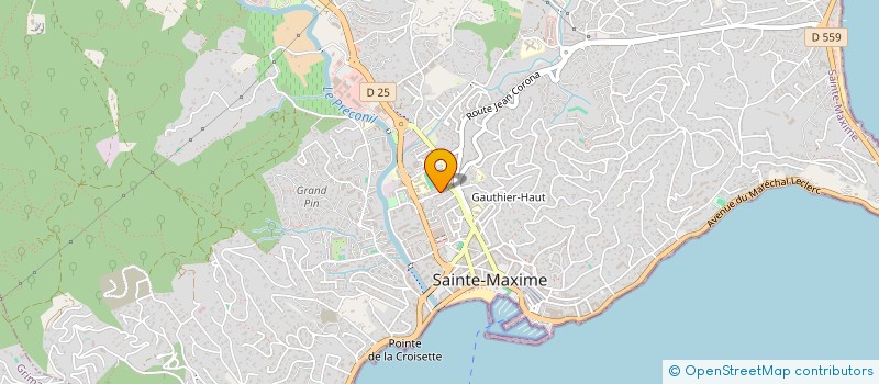 localisation de l'entreprise MONSIEUR FRANCK MARTIN à SAINTE-MAXIME