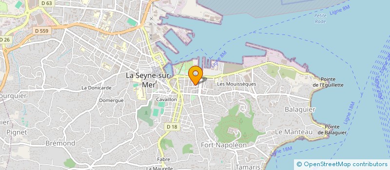 localisation de l'entreprise MONSIEUR FRANCK MASSET  LA SEYNE-SUR-MER