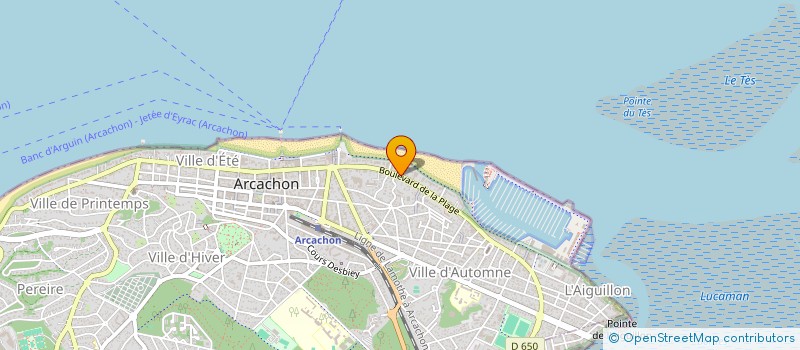 localisation de l'entreprise MONSIEUR FRANCK NICOLAS à ARCACHON