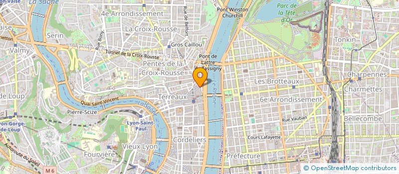 localisation de l'entreprise MONSIEUR FRANCK NICOLINI à LYON