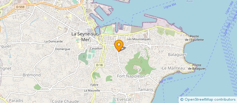 localisation de l'entreprise MONSIEUR FRANCK PELLARD à LA SEYNE-SUR-MER