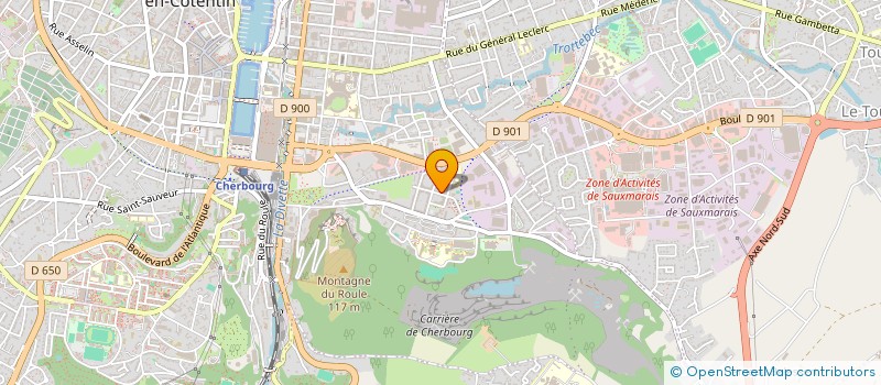 localisation de l'entreprise MONSIEUR FRANCK PESNEL  CHERBOURG-EN-COTENTIN