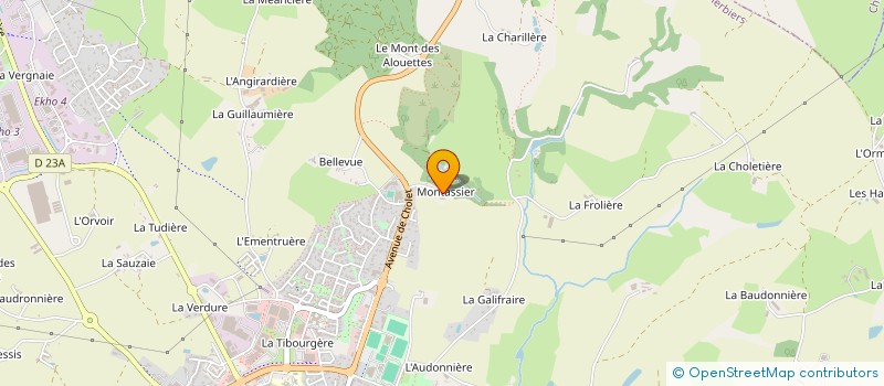 localisation de l'entreprise MONSIEUR FRANCK PINEAU à LES HERBIERS