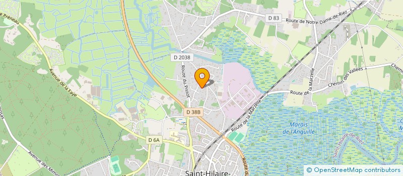 localisation de l'entreprise MONSIEUR FRANCK SALLE à SAINT-HILAIRE-DE-RIEZ
