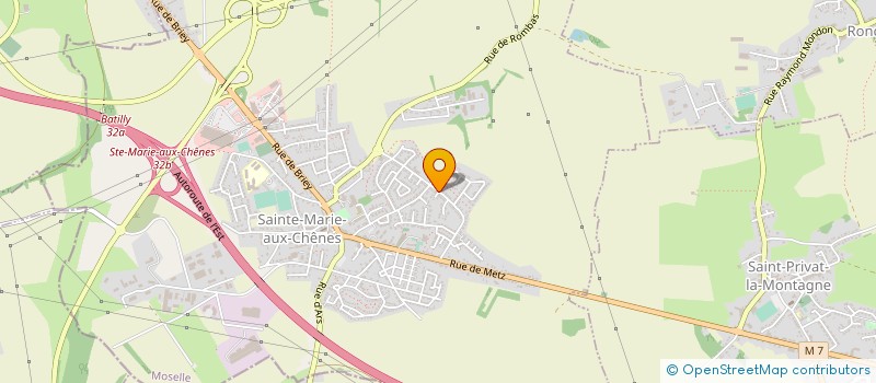 localisation de l'entreprise MONSIEUR FRANCK THOLEY  SAINTE-MARIE-AUX-CHENES