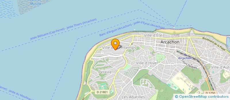 localisation de l'entreprise MONSIEUR FRANCK ZERBINI  ARCACHON