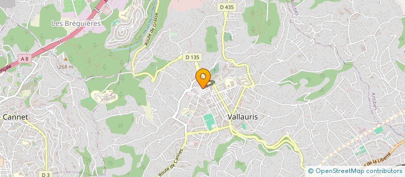 localisation de l'entreprise MONSIEUR FRANCO FERLAZZO à VALLAURIS