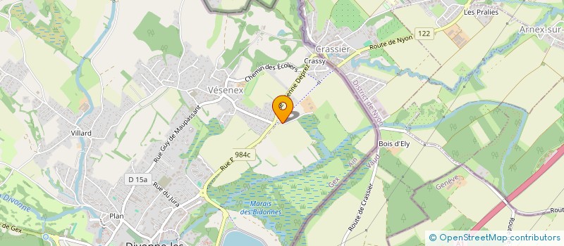 localisation de l'entreprise MONSIEUR FRANCO PRUDENTINO  DIVONNE-LES-BAINS