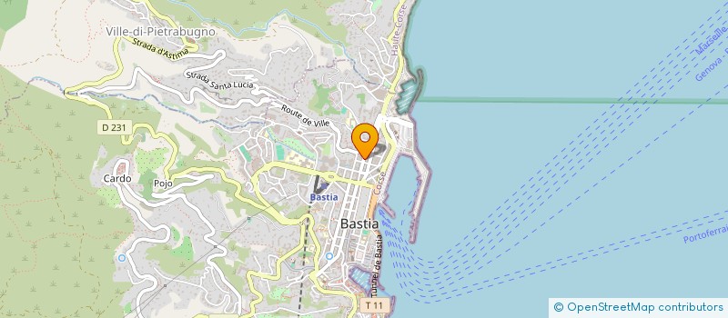 localisation de l'entreprise MONSIEUR FRANCOIS ALFONSI à BASTIA