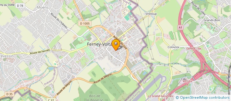 localisation de l'entreprise MONSIEUR FRANCOIS-ANTOINE BRULIARD à FERNEY-VOLTAIRE