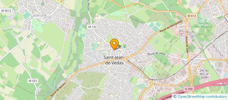 localisation de l'entreprise MONSIEUR FRANCOIS AUDOUARD  SAINT-JEAN-DE-VEDAS