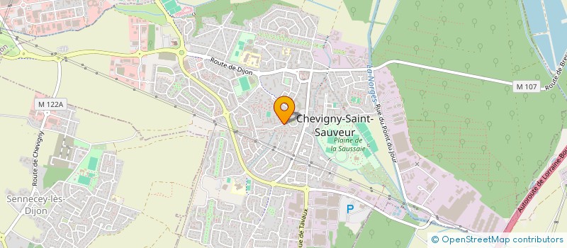 localisation de l'entreprise MONSIEUR FRANCOIS BICHET à CHEVIGNY-SAINT-SAUVEUR