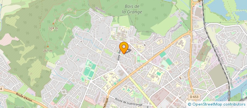 localisation de l'entreprise MONSIEUR FRANCOIS BOCQUI à THIONVILLE