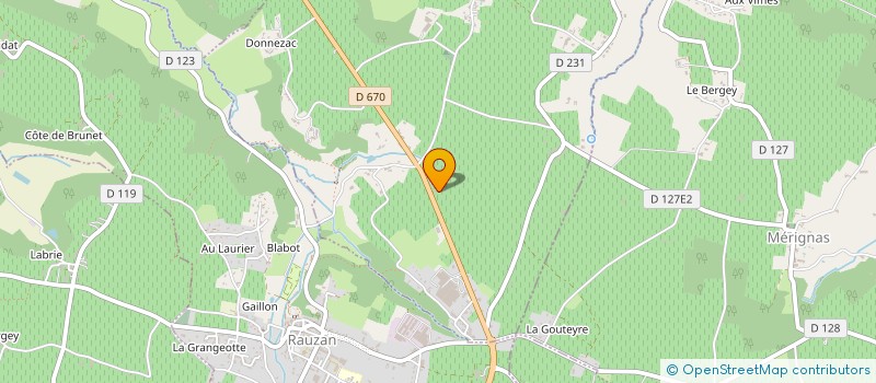 localisation de l'entreprise MONSIEUR FRANCOIS BORTOLUZZI  SAINT-VINCENT-DE-PERTIGNAS