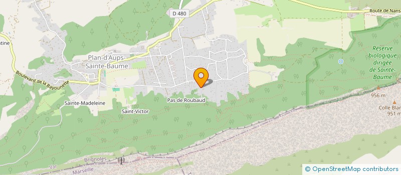 localisation de l'entreprise MONSIEUR FRANCOIS BROSSE  PLAN-D'AUPS-SAINTE-BAUME