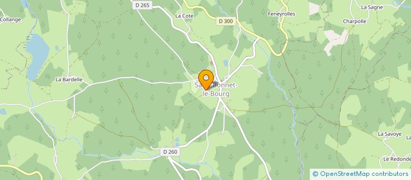 localisation de l'entreprise MONSIEUR FRANCOIS CAYLUS  SAINT-BONNET-LE-BOURG