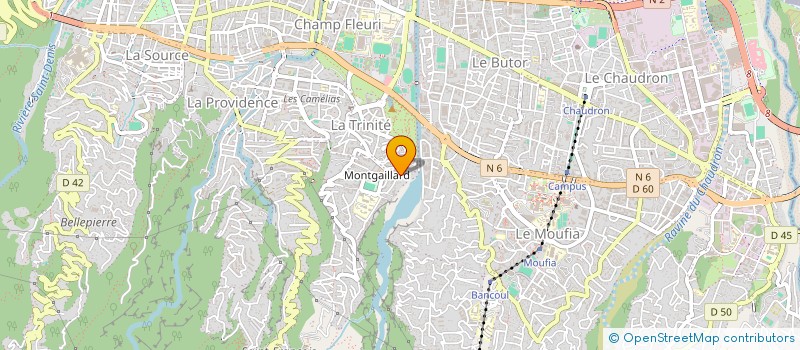 localisation de l'entreprise MONSIEUR FRANCOIS CHANE KAYE BONE  SAINT-DENIS