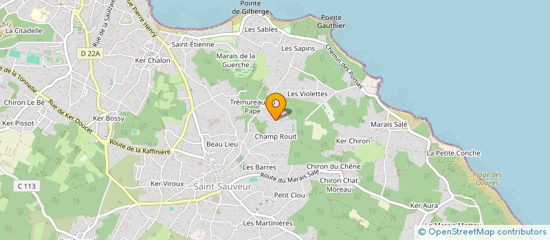 localisation de l'entreprise MONSIEUR FRANCOIS CHESNEAUX à L'ILE-D'YEU