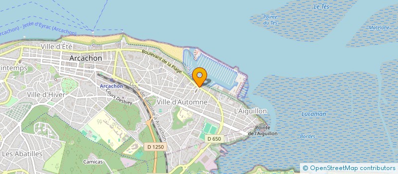 localisation de l'entreprise MONSIEUR FRANCOIS COUSIN  ARCACHON