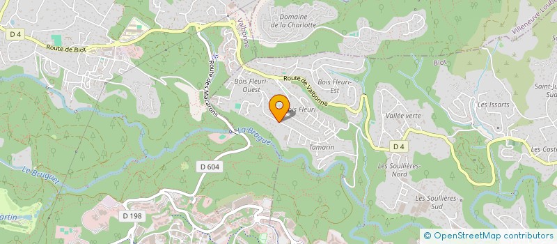 localisation de l'entreprise MONSIEUR FRANCOIS DAMS  BIOT