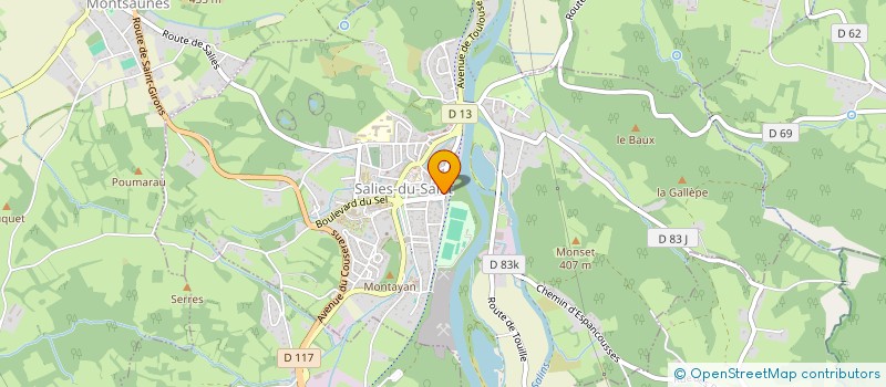 localisation de l'entreprise MONSIEUR FRANCOIS DELHOSTE  SALIES-DU-SALAT